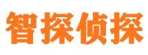 城厢寻人公司